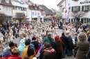 Narrensprung-Langenargen-140118-seechat_de-IMG_2556.jpg