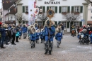 Narrensprung-Langenargen-140118-seechat_de-IMG_2624.jpg