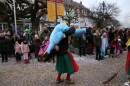 Narrensprung-Langenargen-140118-seechat_de-IMG_2647.jpg