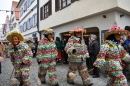 Landschaftstreffen-Bad-Waldsee-28-01-2018-SEECHAT_DE-DSC_0394.JPG