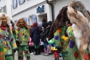 Landschaftstreffen-Bad-Waldsee-28-01-2018-SEECHAT_DE-DSC_0400.JPG