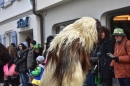 Landschaftstreffen-Bad-Waldsee-28-01-2018-SEECHAT_DE-DSC_0465.JPG