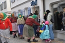 Landschaftstreffen-Bad-Waldsee-28-01-2018-SEECHAT_DE-DSC_0552.JPG