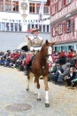 Landschaftstreffen-Bad_Waldsee-280118-seechat_de-IMG_3316.jpg