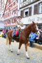 Landschaftstreffen-Bad_Waldsee-280118-seechat_de-IMG_3317.jpg