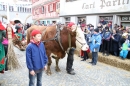 Landschaftstreffen-Bad_Waldsee-280118-seechat_de-IMG_3387.jpg