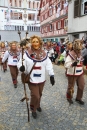 Landschaftstreffen-Bad_Waldsee-280118-seechat_de-IMG_3546.jpg