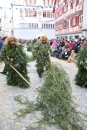 Landschaftstreffen-Bad_Waldsee-280118-seechat_de-IMG_3584.jpg