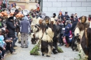 Landschaftstreffen-Bad_Waldsee-280118-seechat_de-IMG_3600.jpg