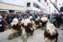 Landschaftstreffen-Bad_Waldsee-280118-seechat_de-IMG_3606.jpg