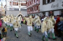 Landschaftstreffen-Bad_Waldsee-280118-seechat_de-IMG_3753.jpg