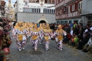 Landschaftstreffen-Bad_Waldsee-280118-seechat_de-IMG_3765.jpg