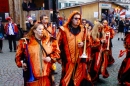 Fasnachtsumzug-Rapperswil-2018-02-04-Bodensee-Community-SEECHAT_CH-_28_.jpg