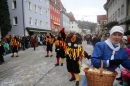 Fasnachtsumzug-Tuttlingen-10-02-2018-Bodensee-Community-SEECHAT_DE-IMG_2365.JPG