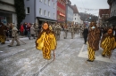 Fasnachtsumzug-Tuttlingen-10-02-2018-Bodensee-Community-SEECHAT_DE-IMG_2466.JPG