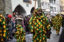 Fasnetsumzug-Lindau-2018-02-11-Bodensee-Community-SEECHAT_DE-2018-02-11_15_17_41.jpg