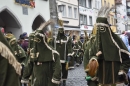 Fasnetsumzug-Lindau-2018-02-11-Bodensee-Community-SEECHAT_DE-2018-02-11_15_36_35.jpg