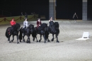 PFERD-BODENSEE-Friedrichshafen-2018-02-17-Bodensee-Community-SEECHAT_DE-037.jpg