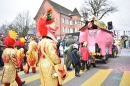 Fasnacht-Neuhausen-2018-02-18-Bodensee-Community-SEECHAT_DE-2018-02-18_14_30_38.jpg