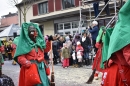 Fasnacht-Neuhausen-2018-02-18-Bodensee-Community-SEECHAT_DE-2018-02-18_14_39_26.jpg