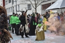 Fasnacht-Neuhausen-2018-02-18-Bodensee-Community-SEECHAT_DE-2018-02-18_14_51_24.jpg