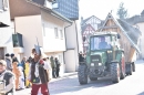 Fasnachtsumzug-Beringen-2018-02-24-Bodensee-Community-SEECHAT_CH-2018-02-24_15_00_49.jpg