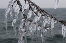 Kaeltefront-Rorschach-2018-02-27-Bodensee-Community-SEECHAT_CH-_13_.jpg