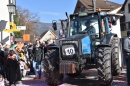 Fasnachtumzug-Embrach-Rorbas-4-3-2018-Bodensee-Community-SEECHAT_CH-2018-03-04_14_13_51.jpg