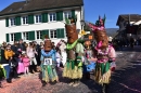 Fasnachtumzug-Embrach-Rorbas-4-3-2018-Bodensee-Community-SEECHAT_CH-2018-03-04_14_17_14.jpg