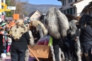 Fasnachtumzug-Embrach-Rorbas-4-3-2018-Bodensee-Community-SEECHAT_CH-2018-03-04_14_19_06.jpg