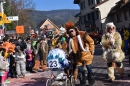 Fasnachtumzug-Embrach-Rorbas-4-3-2018-Bodensee-Community-SEECHAT_CH-2018-03-04_14_33_56.jpg