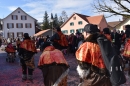 Fasnachtumzug-Embrach-Rorbas-4-3-2018-Bodensee-Community-SEECHAT_CH-2018-03-04_14_35_24.jpg