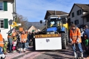 Fasnachtumzug-Embrach-Rorbas-4-3-2018-Bodensee-Community-SEECHAT_CH-2018-03-04_14_41_20.jpg