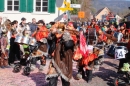 Fasnachtumzug-Embrach-Rorbas-4-3-2018-Bodensee-Community-SEECHAT_CH-_MG_7204.jpg