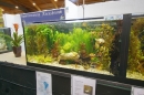 Aqua-Fisch-Messe-Friedrichshafen-2018-Bodensee-Community-SEECHAT_DE-_114_.JPG