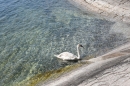 Konstanzer-Frauenlauf-Konstanz-2018-04-22-Bodensee-Community-SEECHAT_DE-_238_.jpg