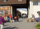 Flohmarkt-Riedlingen-2018-05-19-Bodensee-Community-SEECHAT_DE-_225_.JPG