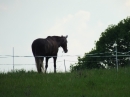 HERBERTINGEN-HEUNEBURG-Zeitreise-20180521-SEECHAT_DE-_205_.JPG