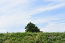 Tour-de-Suisse-Frauenfeld-2018-06-10-Bodensee-Community-SEECHAT_DE-DSC_0092.JPG