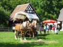 Kuernbach-50-Jahre-Museumsdorf-2018-06-23-Bodensee-Community-SEECHAT_DE-_89_.JPG