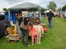 UTTENWEILER-Sommerfest_Flohmarkt--1806234DSCF5733.JPG