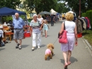 ZWIEFALTENDORF-Flohmarkt-2018-06-30-Bodensee-Community-SEECHAT_DE-_97_.JPG