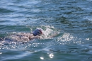 Bodenseequerung-BODENSEEBOOT-2018-07-26-Bodensee-Community-SEECHAT_DE-IMG_8983.JPG