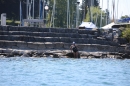 Bodenseequerung-BODENSEEBOOT-2018-07-26-Bodensee-Community-SEECHAT_DE-IMG_8989.JPG