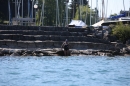 Bodenseequerung-BODENSEEBOOT-2018-07-26-Bodensee-Community-SEECHAT_DE-IMG_8991.JPG