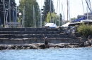 Bodenseequerung-BODENSEEBOOT-2018-07-26-Bodensee-Community-SEECHAT_DE-IMG_9000.JPG