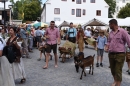 Dorffest-Rot-an-der-Rot-20180811-Bodensee-Community-SEECHAT_DE-_22_.JPG