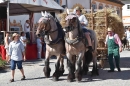 Dorffest-Rot-an-der-Rot-20180811-Bodensee-Community-SEECHAT_DE-_75_.JPG