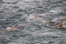 Zuercher-Limmatschwimmen-2018-08-18-Bodensee-Community-SEECHAT_DE-_53_.JPG