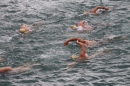 Zuercher-Limmatschwimmen-2018-08-18-Bodensee-Community-SEECHAT_DE-_65_.JPG